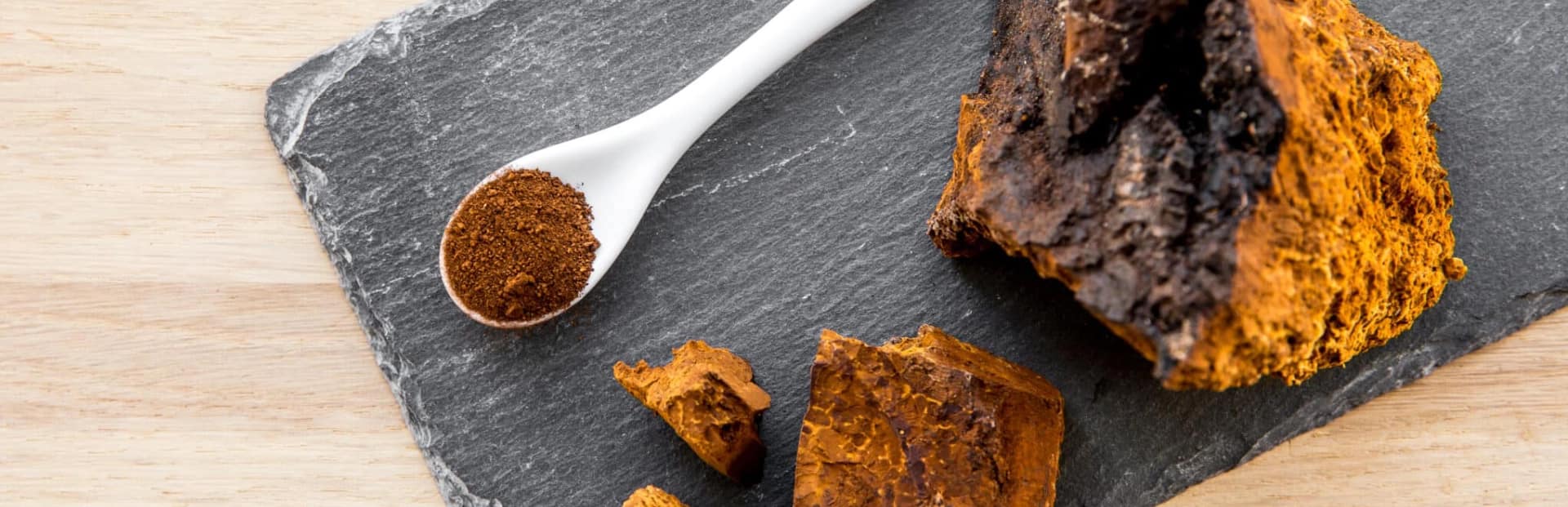 Chaga - 2