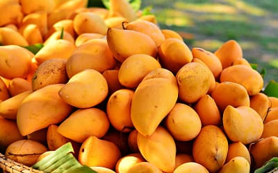 Afriški mango