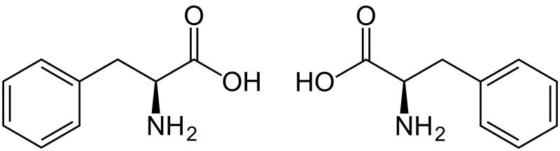 Fenilalanin dolga